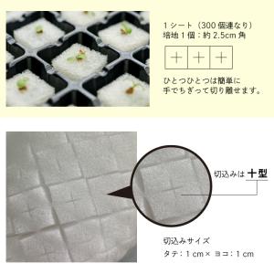 水耕栽培 スポンジ 葉菜用 培地 300個の詳細画像3