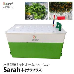 水耕栽培 水耕栽培キット 野菜 栽培キット ホームハイポニカ Sarah+ サラプラス グリーン 緑｜eco-guerrilla