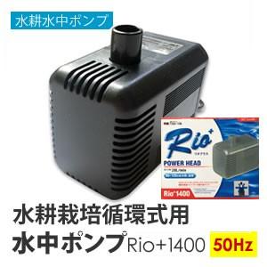 ビオガーデン ポンプ 800 IAA-01BP (46286500)［池用ポンプ 噴水 浄化