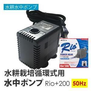 水中ポンプ 水耕栽培 循環式用 Rio+50 50Hz : 水耕栽培専門店のエコ