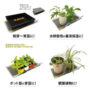ピタリ適温プラス 3号 発芽 育苗 水耕栽培 ...の詳細画像2
