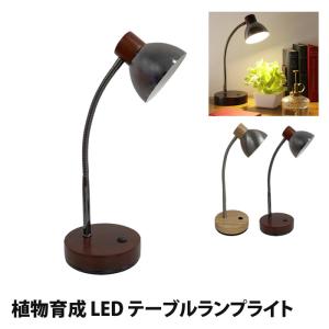 ✴︎ざわざわ✴︎木製アシストグリップ3点 ヤザワ どっちもクリップ A3強力タイプ YAZAWA CLW3 450mmアーム付両端