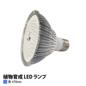 植物育成 LED ランプ(青)100W相当 PA...の商品画像