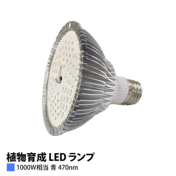 植物育成 LED ランプ（青）100W相当 PAR30-470nm 【上級者向け】