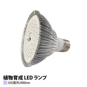 NEC ホタルクス 殺菌ランプ 10形 GL-10（GL10） : 蛍 - 通販 - Yahoo