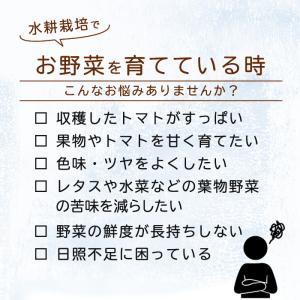 水耕栽培 肥料 液体肥料 活力剤 おうちのやさ...の詳細画像2