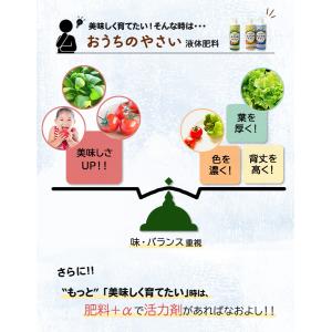 水耕栽培 肥料 液体肥料 活力剤 おうちのやさ...の詳細画像4