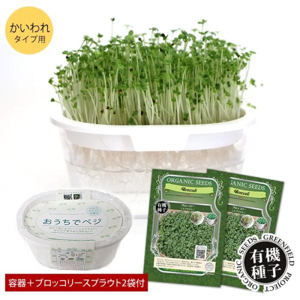 ブロッコリースプラウト 栽培セット 栽培キット スプラウト栽培 スプラウト栽培キット 種 有機種子 ...