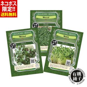 種 有機種子 スプラウト 3袋セット ブロッコリ...の商品画像