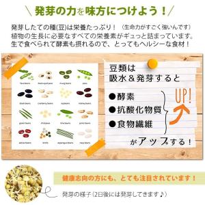豆 スプラウト 発芽豆 おかわりセット 栽培キ...の詳細画像2