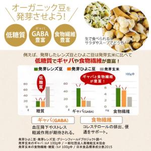 豆 スプラウト 発芽豆 おかわりセット 栽培キ...の詳細画像3