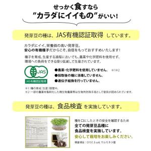 豆 スプラウト 発芽豆 おかわりセット 栽培キ...の詳細画像4
