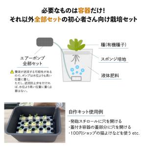 水耕栽培 栽培セット 肥料 スポンジ培地 有機...の詳細画像1