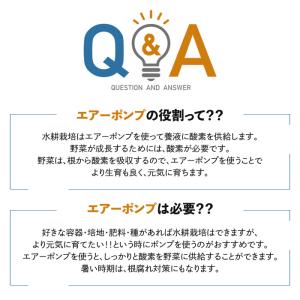 水耕栽培 栽培セット 肥料 スポンジ培地 有機...の詳細画像2