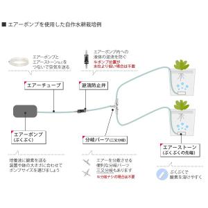 水耕栽培 栽培セット 肥料 スポンジ培地 有機...の詳細画像3