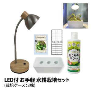 水耕栽培キット 栽培キット 室内 栽培容器 3株...の商品画像