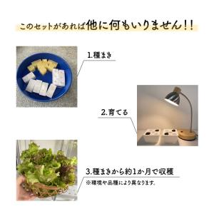 水耕栽培キット 栽培キット 室内 栽培容器 3...の詳細画像1