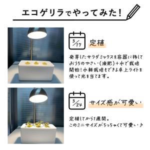 水耕栽培キット 栽培キット 室内 栽培容器 3...の詳細画像3