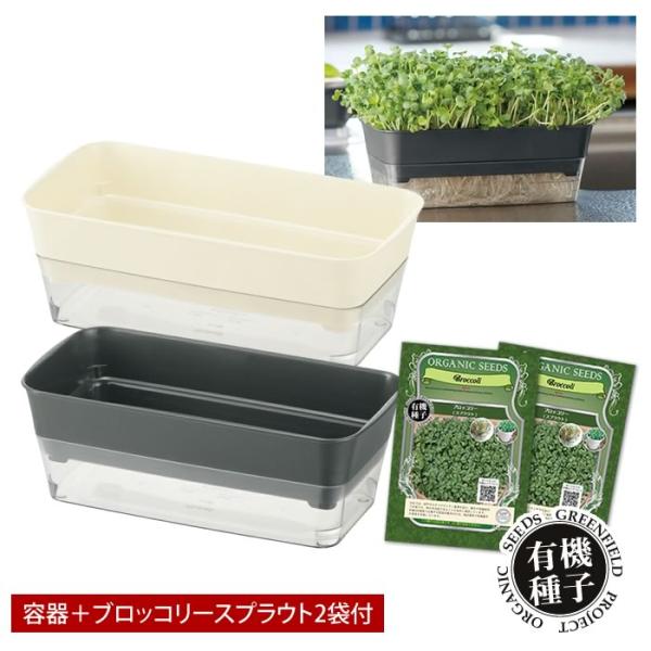ブロッコリースプラウト 栽培セット 栽培キット スプラウトファーム ブロッコリースプラウト 種 有機...
