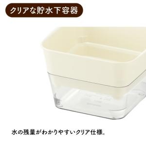 ブロッコリースプラウト 栽培セット 栽培キット...の詳細画像4