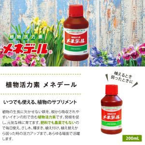 植物活力素 メネデール 200mLの詳細画像2