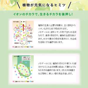 植物活力素 メネデール 200mLの詳細画像3
