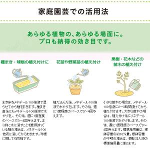 植物活力素 メネデール 200mLの詳細画像4