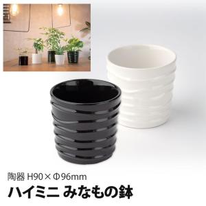 水耕栽培ポット ハイドロカルチャー 容器 観葉植物 鉢 ハイミニみなもの鉢 栽培セット 栽培キット 栽培 家庭菜園 キッチン菜園