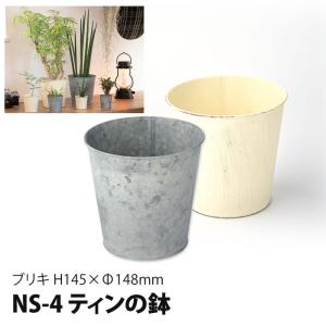 水耕栽培ポット ハイドロカルチャー 容器 観葉植物 鉢 NS-4 ティンの鉢 栽培セット 栽培キット 栽培 家庭菜園 キッチン菜園