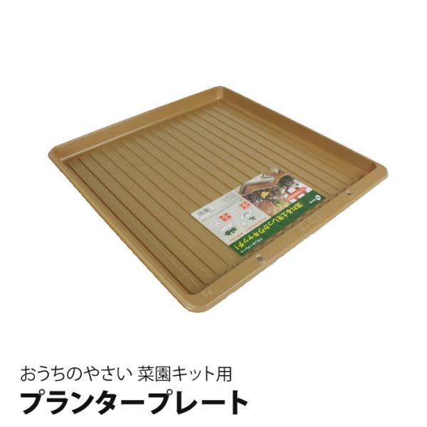 プランタープレート 受け皿 おうちのやさい 菜園キット