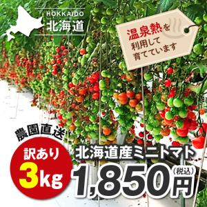 北海道産訳ありミニトマト3KG　温泉熱で育てた美味しさを農園より直送