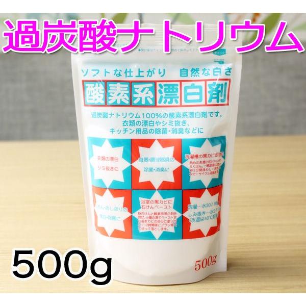 地の塩社 酸素系漂白剤 粉末 500g過炭酸ナトリウム 500g 洗濯槽クリーナー 洗濯洗剤 洗濯槽...