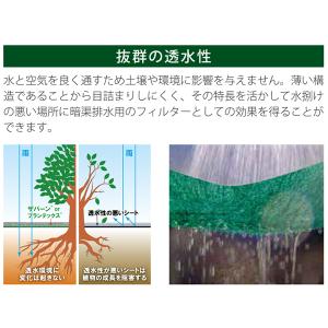 プランテックス 防草シート 240ブラック/ブ...の詳細画像5