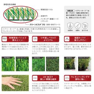 リアリーターフ 人工芝 ヨーロピアンロング 2...の詳細画像3