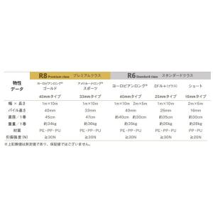 リアリーターフ 人工芝 ヨーロピアンロング 2...の詳細画像4