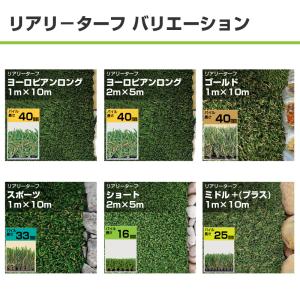 リアリーターフ 人工芝 ヨーロピアンロング 2...の詳細画像5