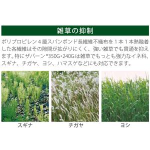 ザバーン 防草シート 240グリーン 2m×3...の詳細画像5