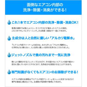 スイスイクリーン エアコン内部クリーナー 2本...の詳細画像3