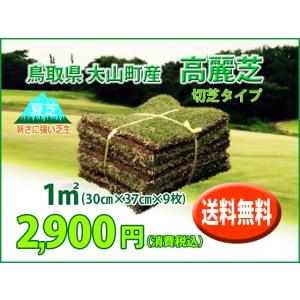 【送料無料】【芝生】高麗芝・切芝 1平米（30cm×37cm×9枚）