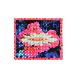 Supreme（シュプリーム） Supreme Collage Box Logo Sticker カレッジ