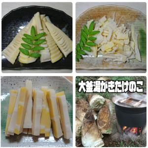 調理の手間なし！湯がきたけのこ3点セット