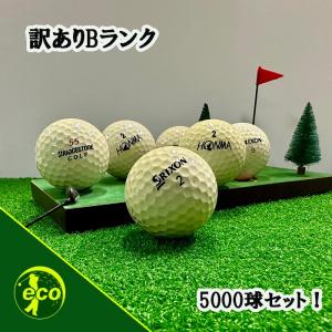 ロストボール販売のランキングtop100 人気売れ筋ランキング Yahoo ショッピング