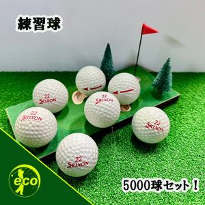 ロストボール ブランド混合 500球 訳あり Bランク 中古 ゴルフボール