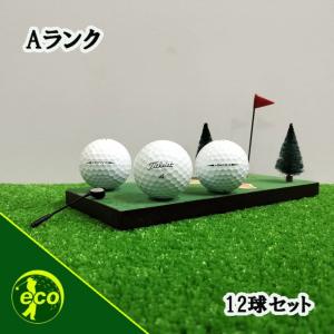 Pro V1 ロストボール ゴルフボール Titleist PRO ホワイト 30球セット