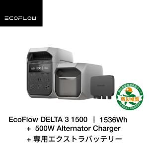 ECOFLOW ポータブル電源3点セット EcoFlow DELTA 3 Plus +500W