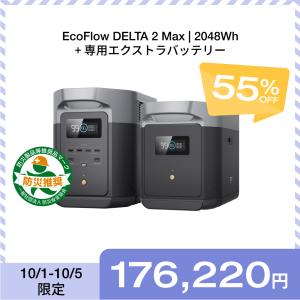 ECOFLOW EcoFlow DELTA 2 Max 専用ケース ポータブル電源用 収納