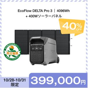 エコフローデルタ3バック DELTA 3 + 専用バッグセット|EcoFlow Japan