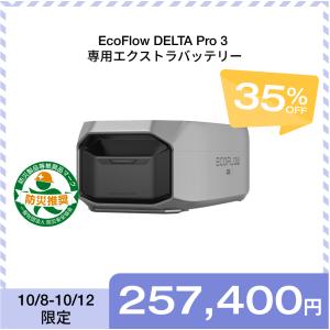 ECOFLOW EcoFlow WAVE 3 専用バッテリーパック ポータブル