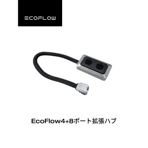 ECOFLOW 【安心の公式ストア】EcoFlow Alternator Charger 4+8出力