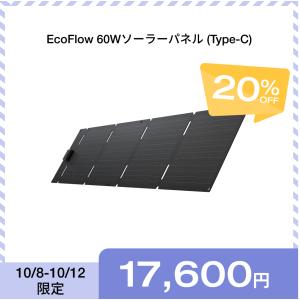 EcoFlow ソーラーパネル 60W ソーラーチャージャー 太陽光パネル  ポータブル電源 ソーラー 折り畳み  超薄型 エコフロー